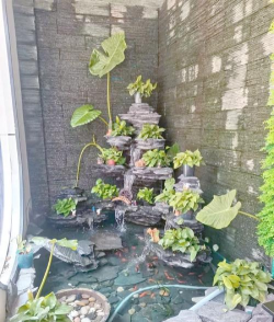 葡萄栽培，掌握关键技术，实现优质丰产