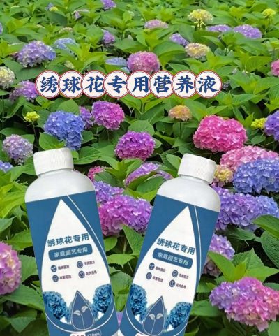 葡萄栽培，掌握关键技术，实现优质丰产