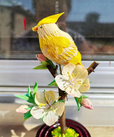 绯花玉怎么养，掌握关键技巧，轻松养出好状态