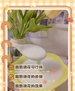 绯花玉怎么养，掌握关键技巧，轻松养出好状态