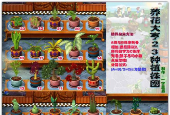 芍药花怎么养，掌握关键要点，花开更鲜艳