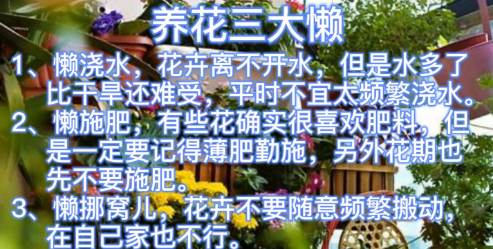 葡萄栽培，掌握关键技术，实现优质丰产