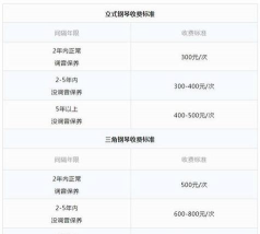 兰草花怎么养，掌握关键技巧，轻松培育美丽花朵