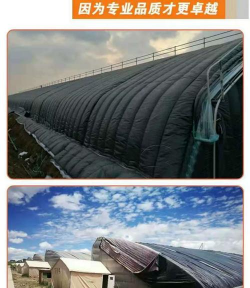 兰草花怎么养，掌握关键技巧，轻松培育美丽花朵