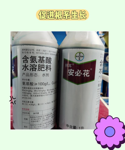 葡萄栽培，掌握关键技术，实现优质丰产