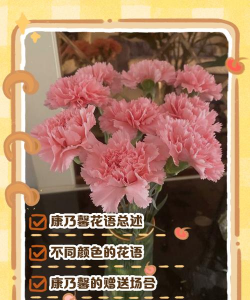 葡萄栽培，掌握关键技术，实现优质丰产