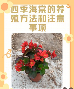 葡萄栽培，掌握关键技术，实现优质丰产