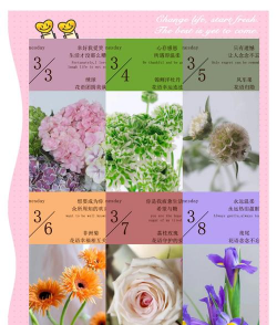 葡萄栽培，掌握关键技术，实现优质丰产