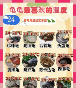 柿树虫病防治，识别常见虫害，掌握有效方法