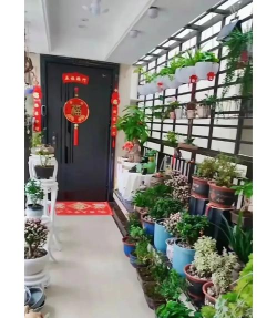 家庭养花用生根粉