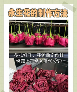 葡萄栽培，掌握关键技术，实现优质丰产