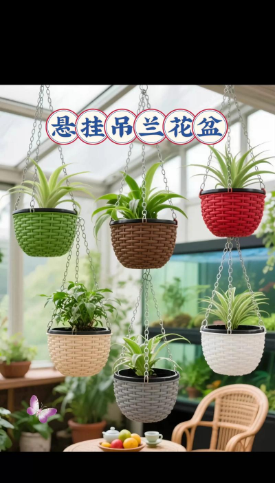 海棠花的栽培，选对品种很关键，掌握技巧不费力