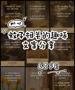 栽培的意思，核心概念，通俗理解