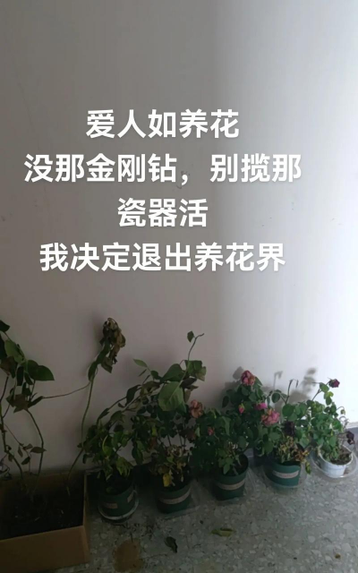 栽培的意思，核心概念，通俗理解