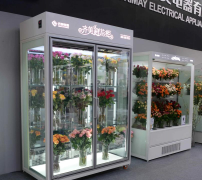 兰草花怎么养，掌握关键技巧，轻松培育美丽花朵