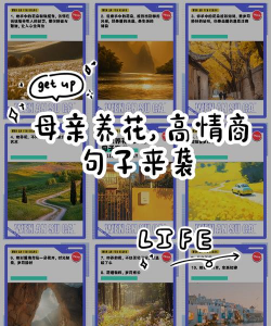 兰草花怎么养，掌握关键技巧，轻松培育美丽花朵