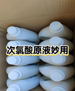 兰草花怎么养，掌握关键技巧，轻松培育美丽花朵