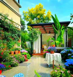 柿树虫病防治，识别常见虫害，掌握有效方法