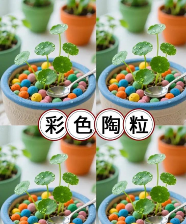 玫瑰花怎么养才不会枯萎，掌握浇水施肥技巧，轻松延长花期