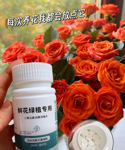 别墅园林绿化设计，打造私密空间，提升居住品质