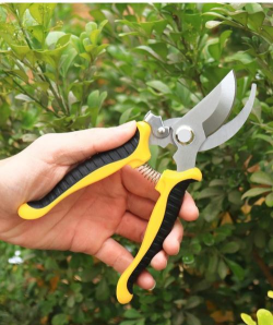 养花修剪花工具