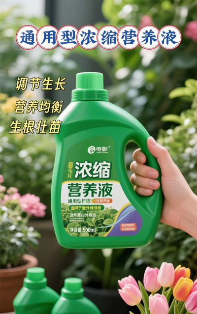 芍药花怎么养，掌握关键要点，花开更鲜艳