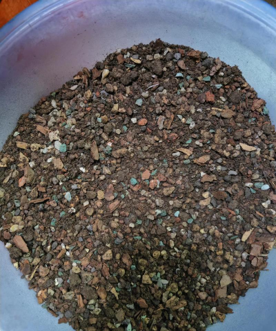 山楂树害虫天牛防治，识别关键特征，掌握有效方法