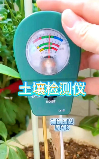 山楂树害虫天牛防治，识别关键特征，掌握有效方法