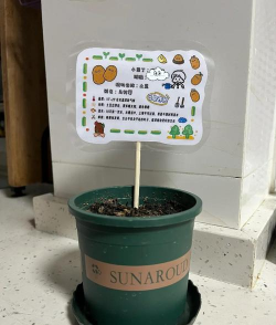 山楂树害虫天牛防治，识别关键特征，掌握有效方法