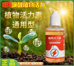 绯花玉怎么养，掌握关键技巧，轻松养出好状态
