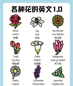 葡萄栽培，掌握关键技术，实现优质丰产