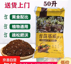 葡萄栽培，掌握关键技术，实现优质丰产