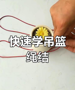 葡萄栽培，掌握关键技术，实现优质丰产