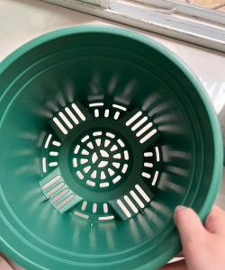 葡萄栽培，掌握关键技术，实现优质丰产