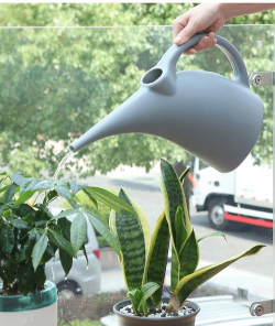 柿树虫病防治，识别常见虫害，掌握有效方法