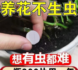 葡萄栽培，掌握关键技术，实现优质丰产