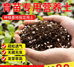 葡萄栽培，掌握关键技术，实现优质丰产