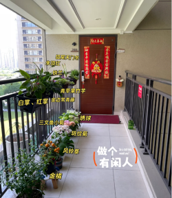 玫瑰花怎么养才不会枯萎，掌握浇水施肥技巧，轻松延长花期