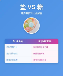 庭院景观绿化设计，打造舒适空间，提升生活品质