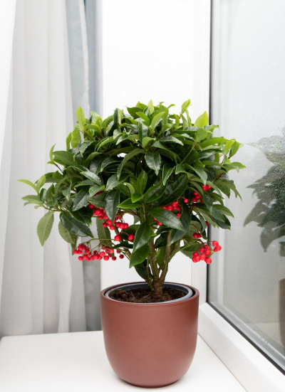 庭院景观绿化设计，打造舒适空间，提升生活品质