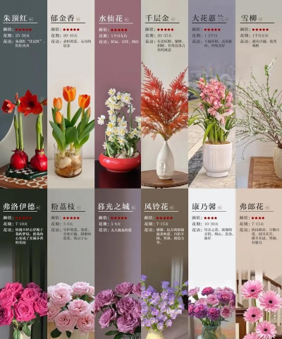 家庭养花用生根粉