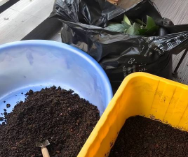 家庭养花用生根粉