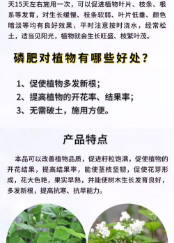 葡萄栽培，掌握关键技术，实现优质丰产
