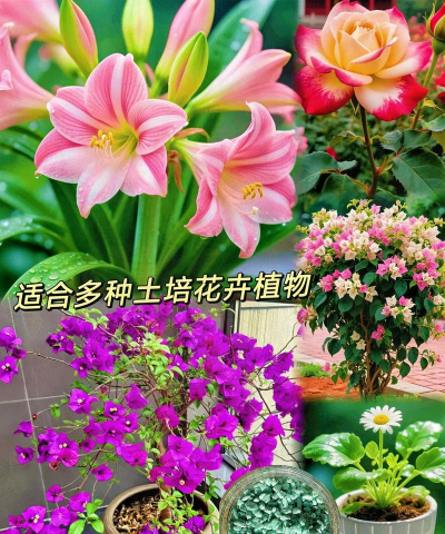 绿化景观设计，提升环境品质，创造宜人空间