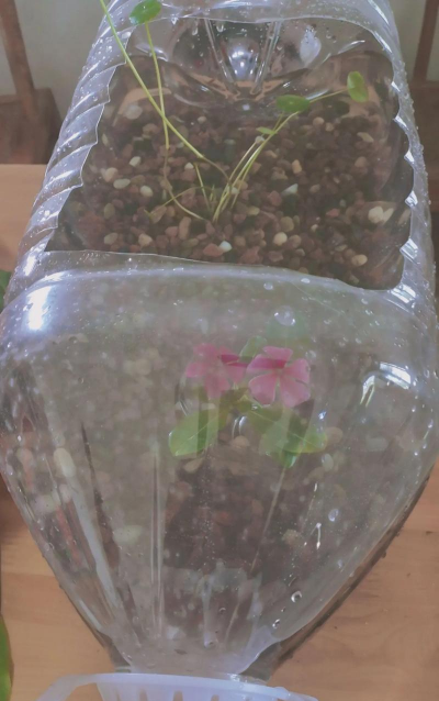 别墅园林绿化设计，打造私密空间，提升居住品质