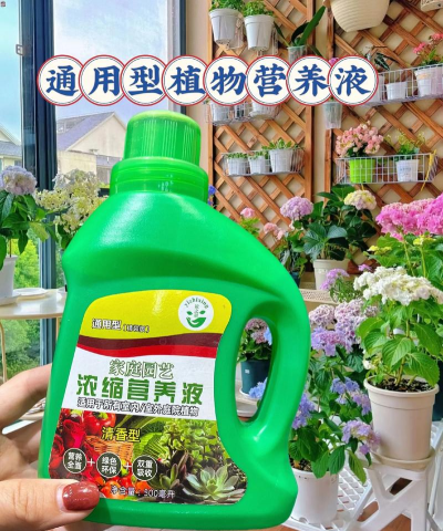 柿树虫病防治，识别常见虫害，掌握有效方法