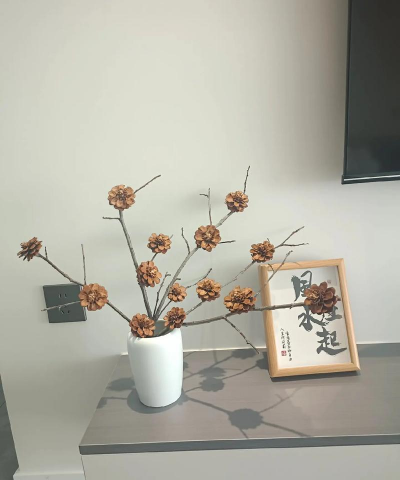 柿树虫病防治，识别常见虫害，掌握有效方法