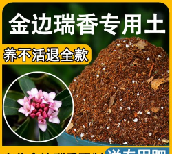 家庭养花用生根粉