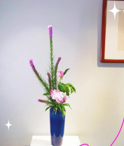 芍药花怎么养，掌握关键要点，花开更鲜艳