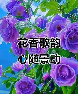 柿树虫病防治，识别常见虫害，掌握有效方法